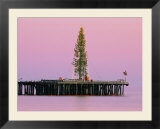 Sunset framing a Christmas tree on Stearns Wharf