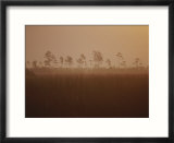 Sunrise in Everglades National Park