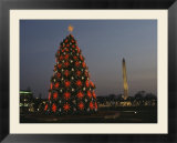 The National Christmas tree with the Washington Monument in back