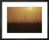 Sunset over grasses in the Everglades