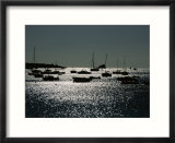 An afternoon sun highlights fishing boats docked in harbor waters