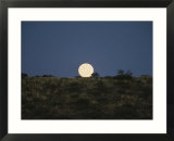 The moon shines over a landscape