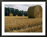 Haystacks in a field in Normandy