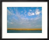 View of the marsh under a huge blue sky
