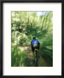 A mountain bicyclist races down a forest trail