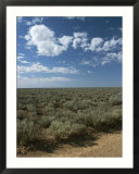 View of the Outback