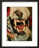 A researcher opens the mouth of a tranquilized jaguar