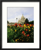 Red and yellow flowers bloom in a garden near a domed building