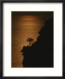 A Cinque Terre cliffside silhouetted against the sun-reflected sea