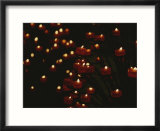 Votive candles in Notre Dame Cathedral