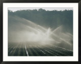 Field irrigation  Provence Region  France
