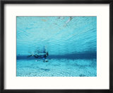 A diver swims through clear blue water