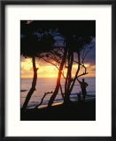 Man and surfboard at sunrise  Cabarete  Dominican Republic