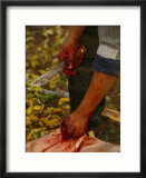 A hunter butchers a bull moose that will feed his family