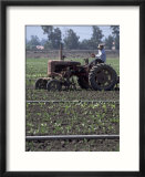Farmer sitting on tractor