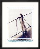 Feather and hair suspended on barbed wire