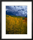 Mt Sneffel's Range in the San Juan Mountains  San Juan National Forest  USA