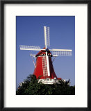 Windmill  Aruba