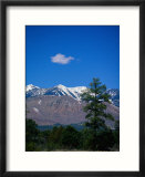 Snow-Capped Mountains  AZ