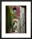 Alley to Garden  Languedoc-Roussillon  France