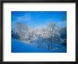 Record Snow in Louisville  Kentucky  USA