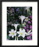 Hydrangea  Violas  Easter Lily's  Cincinatti  Ohio  USA