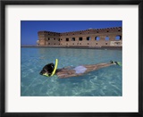 Swimmer at Fort Jefferson  Garden Key  Dry Tortugas  Florida  USA