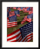 Grassy Field with American Flags Stuck in Ground