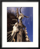 Old Cattle Skulls  Baja California  Mexico