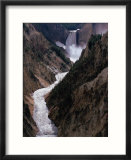 Lower Falls of the Yellowstone River  Yellowstone National Park  Wyoming  USA