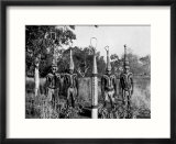 Aborigines