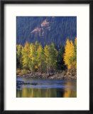 Autumn Color on the Methow River  Washington  USA