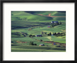 Farms and Rolling Hills of the Palouse  Steptoe Butte State Park  Washington  USA