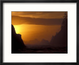 Sea Stacks at Sunset  Olympic National Park  Washington  USA