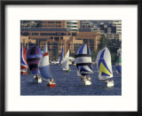 Duck Dodge Sailboat Race  Lake Union  Seattle  Washington  USA