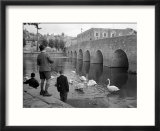 Children Feeding Swans at Bradford on Avon  October 1943
