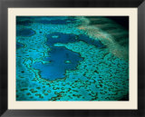 Overhead of Heart Reef  Great Barrier Reef  Australia
