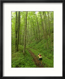 Mountain Biker on Props Run  a Single Track Trail