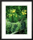 Wagon and Daylily Flowers  Los Angeles  Ca