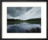 Shallow Pond and Storm Clouds  Nicolet National Forest  Wisconsin
