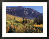 Autumn at San Miguel Mts  Durango  CO