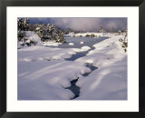 Snow on Franklin River  Cradle Mountains  Lake St Clair National Park  Tasmania  Australia