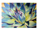 Agave