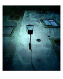 Street Member