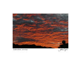 Suburban Sunrise