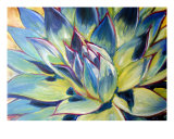 Agave