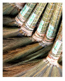 Burmese Brooms