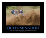 Determination