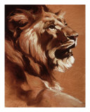 Lion  King