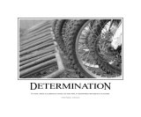 Determination